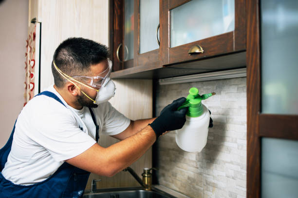 Best Pest Control for Homes  in Collinsville, CT