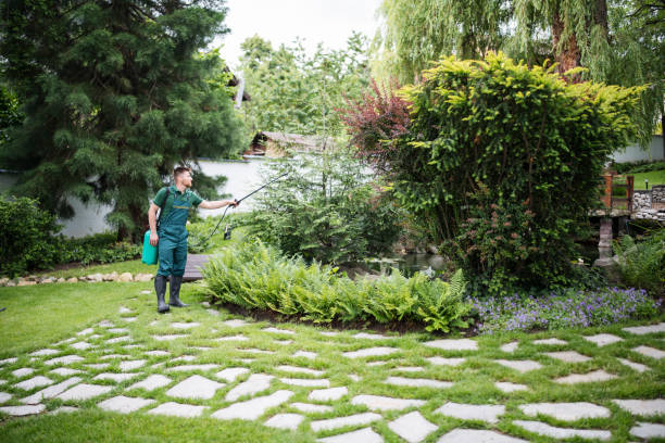 Best Best Pest Control Companies  in Collinsville, CT