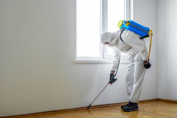 Best Commercial Pest Control Services  in Collinsville, CT