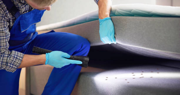 Flea Control Services in Collinsville, CT