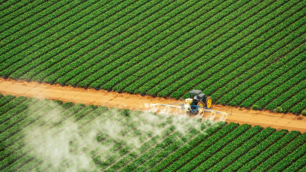Reliable Collinsville, CT Pest Control Solutions