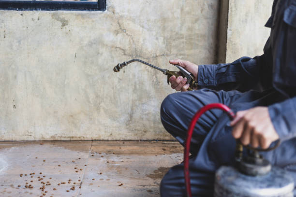Best Pest Control for Businesses  in Collinsville, CT